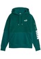 Puma Colorblock High Neck Kadın Yeşil Kapüşonlu Sweatshirt 67602643
