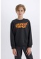 DeFacto Erkek Çocuk Stranger Things Bisiklet Yaka Kalın Sweatshirt D4791A824WNAR208