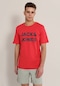 Jack & Jones Renk Geçişli Logo Baskılı Tişört- Forest 12249602 Rococco Red