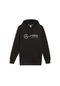 Puma 62734501 Mapf1 Ess Erkek Sweatshirt 001