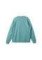 Quıksılver Quiksilver Salt Water Crew Erkek Sweatshirt Bha0 Çok Renkli