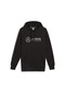 Puma 62734501 Mapf1 Ess Erkek Sweatshirt Siyah