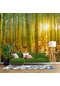 Bambu Ormanı Temalı Duvar Kağıdı