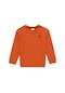 U.s. Polo Assn. Erkek Çocuk Tarçın Sweatshirt 50293633-vr191 Tarçın Kahverengi
