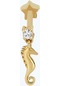 Altınbaş Altın Tragus Deniz Atı Piercing Trgsyn088-25552