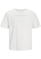 Jack & Jones Erkek T-shirt Kırık Beyaz 12247985 Jjsetra Tee Ss Crew Neck 24yw21000033 W21058