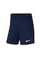 Nike Dri-fit Park Iıı Nb K Kadın Siyah Futbol Şort - Bv6860-4867 Lacivert