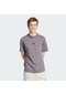 Grestr Adidas Erkek Günlük T-shirt City Escape Tee Jf3331 Antrasit
