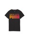 Puma Run Favroites Ff Graphic Tee Kadın T-shirt-siyah