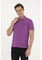 U.s. Polo Assn. Erkek Mor Tişört Basic 50279613-vr038 Mor