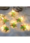 Maotai Shop Led Yeni Yıl Noel Enlikli Atmosfer Işığı 3 Metre 20 Işık-iki Kullanımlı Model