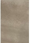 Enesar Home Tay Tüyü Premium Döşemelik Kumaş Taytüyü Vizon 100 x 140 cm