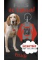Petjoo 29.foks Kırmızı-gri Qr'lı Köpek Künyesi