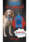Petjoo 29.foks Kırmızı-mavi Qr'lı Köpek Künyesi