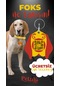Petjoo 29.foks Kırmızı-sarı Qr'lı Köpek Künyesi