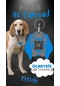 Petjoo 29.foks Mavi-gri Qr'lı Köpek Künyesi