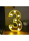 Dekoratif Led Işıklı 3D 3 Rakamı Büyük Boy Organizasyon Doğum Günü Kutlama
