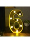 Dekoratif Led Işıklı 3D 6 Rakamı Büyük Boy Organizasyon Doğum Günü Kutlama