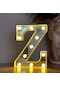 Dekoratif Led Işıklı 3d Z Harfi Büyük Boy Organizasyon Doğum Günü