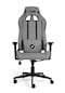 Hawk Gaming Chair Fab V1 Oyuncu Koltuğu