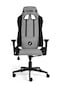 Hawk Gaming Chair Fab V2 Oyuncu Koltuğu