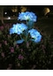 Çiçek Desenli Güneş Enerjili Solar Bahçe Aydınlatması Solar Lamba Mavi
