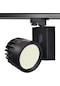 Philips Ledli 30W Trifaze Siyah Ray Spot 12cm Gün Işığı 3000K