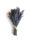 Doğal Lavanta Demeti Natural Lavender Bundle 20 Adet 200-300 Dal (535182332)