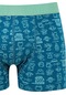 Mavi - Yeşil Boxer 091119-71923 Yeşil