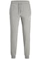 Jack & Jones Logo Baskılı İp İle Bağlamalı Sweat Pantolon 12247224 Light Grey Melange