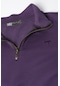 Erkek Yarım Fermuarlı Basic Düz Renk Trend Sweatshirt 21k-5200179 Mor - Mor