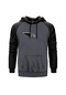 Pearl Jam Wing Gri Reglan Kol Unisex Sweatshirt Hoodie Gri