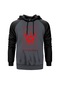Signs Of The Swarm Album Gri Reglan Kol Kapşonlu Sweatshirt Gri (551879679)