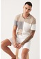 Avva Erkek Vizon Pamuklu Düğmesiz Polo Yaka Blok Renkli Ribanalı Regular Fit Triko T-Shirt