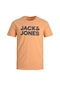 Jack & Jones Bisiklet Yaka Logo Baskili Tisört 12151955 Pumpkin