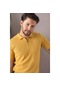 Ferraro Sarı Polo Yaka Fermuarlı Erkek Pamuk Triko T-Shirt-Sarı