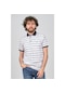 Qwerty Erkek Çizgili Polo Yaka T-Shirt 5452380 Beyaz-Beyaz