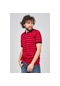 Qwerty Erkek Çizgili Polo Yaka T-Shirt 5452380 Kırmızı-Kırmızı