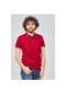 Qwerty Erkek Desenli Polo Yaka T-Shirt 54523555 Kırmızı-Kırmızı