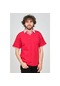 Uztex Erkek Slim Fit Polo Yaka T-Shirt 07190100 Kırmızı-Kırmızı