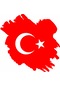 Türk Bayrağı Yırtıklı Sticker S51-7