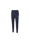 Puma Teamrise Poly Training Pants Erkek Futbol Antrenman Eşofman (535447070)