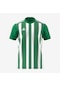 Adidas Striped 21 JSY Erkek Futbol Forması Yeşil / Beyaz H35644