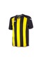 Joma Siyah Erkek Futbol Forması 1202.98.023 Pisa