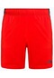 The North Face M 24/7 Short - Eu Erkek Şort Nf0a3o1b15q1 001