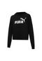 Puma Kadın Sweatshirt 58687001 001