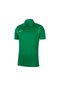 Nike Dry Park Erkek Yeşil Futbol Polo Tişört Bv6879-302 - Yeşil
