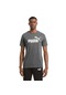 Puma Erkek Tişört Essentials Heather 58673601