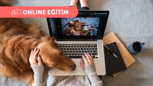 Ev Tekstili & Dekorasyon & Aydınlatma Kategori Yönetimi
