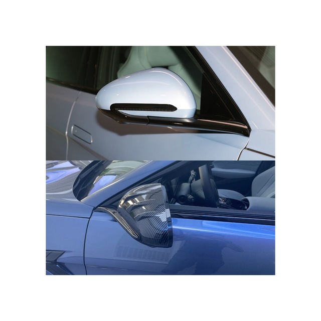Red Lion Parts Byd Seal Awd Karbon Fiber Görünüm Yan Dikiz Ayna Kapakları Abs 2 Li Set